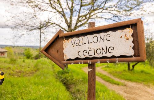 Greve in Chianti House | Vallone di Cecione