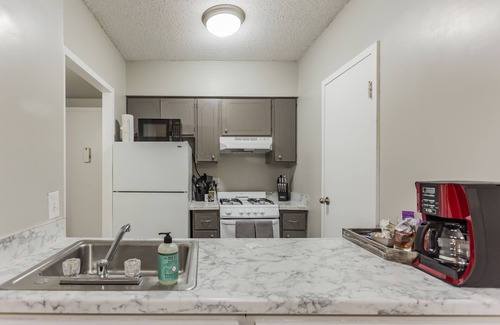 Downtown Memphis Apartment | Value downtown Memphis apartment w/gourmet kitchen