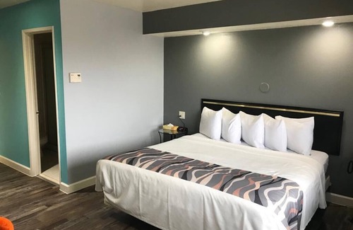 Madison Hotel | Valued Stay Madison