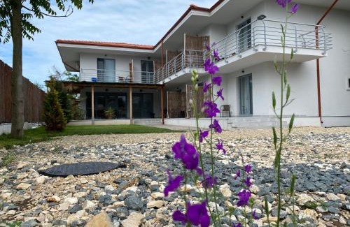 Vama Veche House | VAMA BLUE