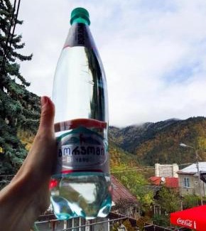 Borjomi House | Vaso&Iro Guest House