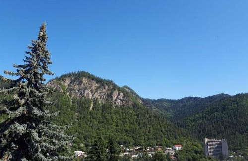 Borjomi House | Vaso&Iro Guest House