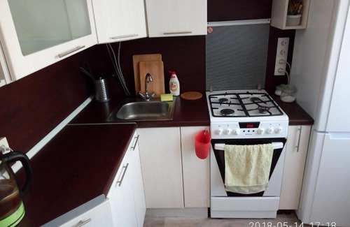 Veliky Novgorod Apartment | Velikaya 1