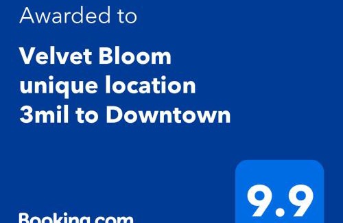 East Naples House | Velvet Bloom unique location 3mil to Downtown