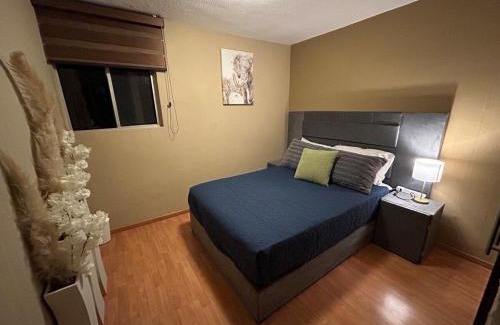 Morelia Apartment | Ventura Suite 403 5 pax Wi-Fi CECONEXPO