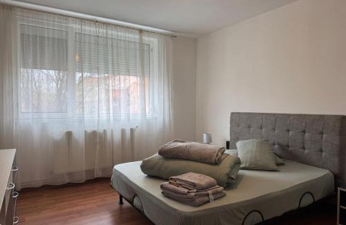 Dumbravita Apartment | venus resort