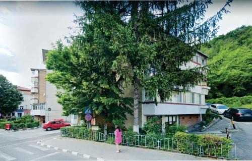 Ramnicu Valcea Apartment | VERO APARTAMENT CENTRAL RM VALCEA