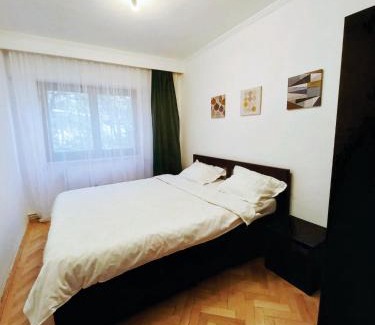 Ramnicu Valcea Apartment | VERO APARTAMENT CENTRAL RM VALCEA