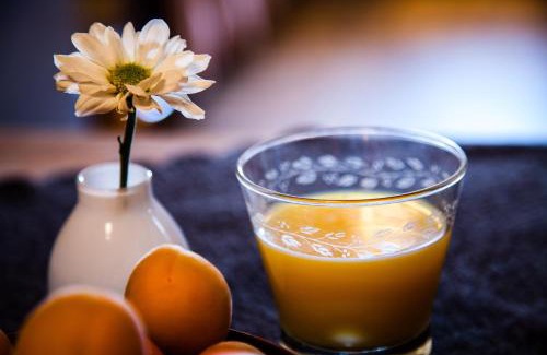 Bourg-Saint-Maurice House | Versaya