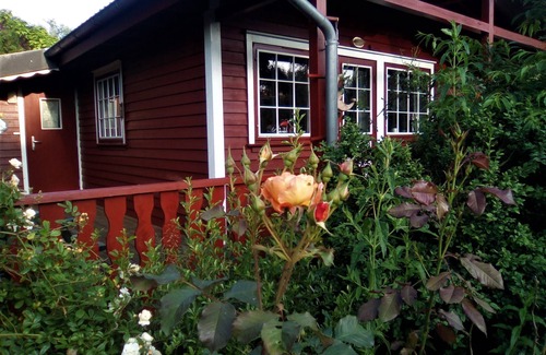Brekendorf House | Very cozy Scandinavian log house in a quiet location on a large plot