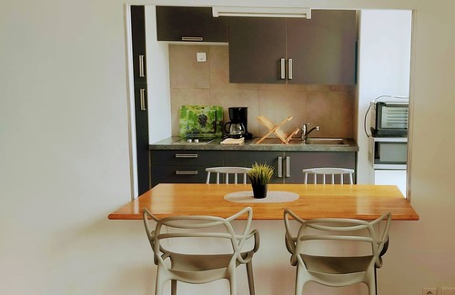 Thiers Condo | Very nice flat, Nice centre, 10 mins to the beach, very quiet and luminous