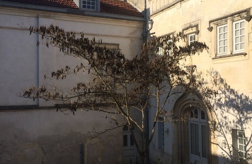 La Rochelle City Centre Apartment | Very quiet apartment in the center of La Rochelle