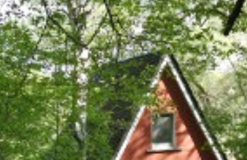 Bad Muskau House | Very quiet, idyllic location in untouched nature!