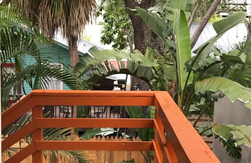 Downtown Apartment | Very tropical, private and peaceful, short walk to everything happening downtown