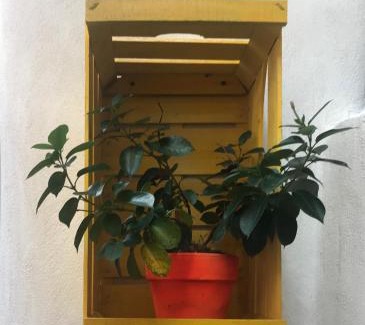 Gragnano House | Vesuvio Rooms