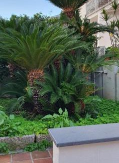Pagani Apartment | vesuvius house