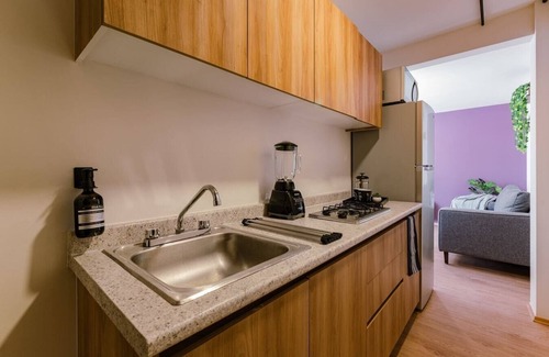 Miguel Hidalgo Apartment | VH | 3 recamaras +Rooftop| 430