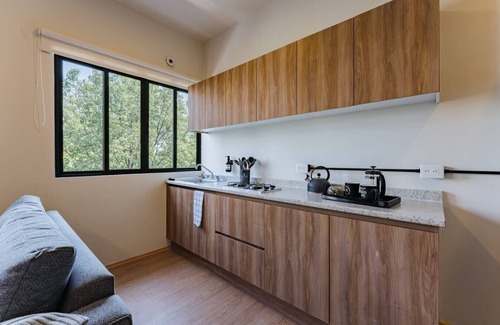 Miguel Hidalgo Apartment | VH | Espacioso depa 2 hab + gym | Polanco | 427