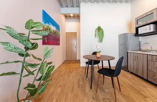Zona Rosa Apartment | VH | Stylish loft + Washing Room | Roma Nte | 163