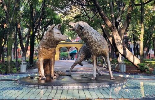 Coyoacan Apartment | Viñedito del coyote, Coyoacán