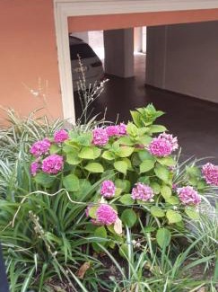 Cattolica Apartment | Via Modena