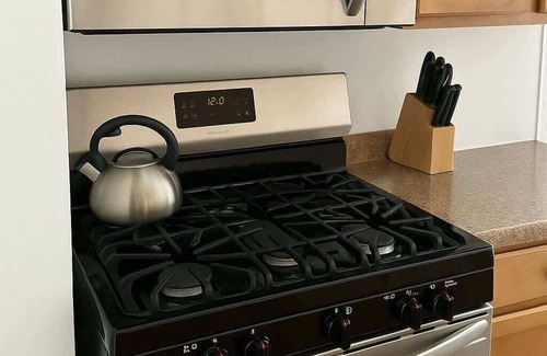 Lakeview Apartment | Vibrant 1BRApt in Roscoe Village