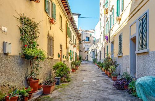 Le Cure Apartment | Vicolo Piazza Libertà-Centro