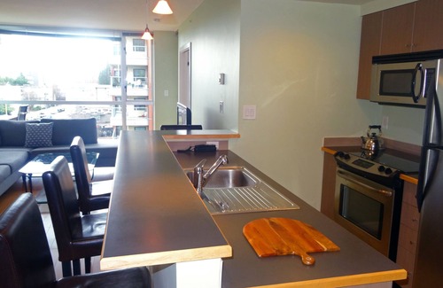 Downtown Victoria Condo | Victoria One Bedroom with City Views