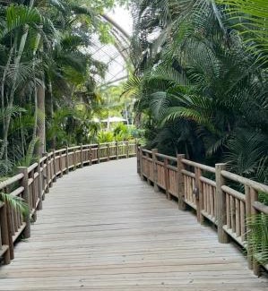 Nuevo Vallarta Resort | Vidanta Nuevo Vallarta