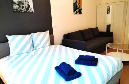 Vierzon Apartment | Vierzon Centre - joli T2- balnéo- wifi