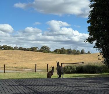 Bridgewater Villa | View! Farm in Bridgewater! Luminous Pond Farm