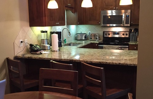 Breckenridge Condo | View of High Peaks, Pristine Setting, Ski-in/out, Indoor Pkg, Steps to Lift