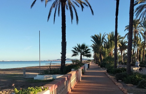 El Algar Villa | View of the sea and the private garden with palm trees and an olive tree.