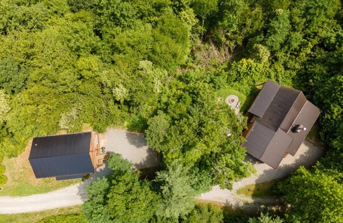 Almond Cabin | Views Over Lake Fontana | Sleeps 16