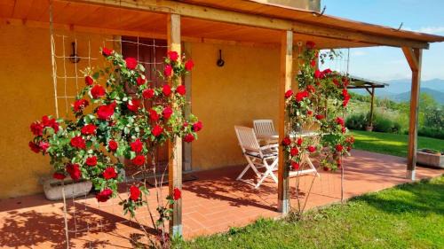 Anghiari Apartment | Vigna del Poggio