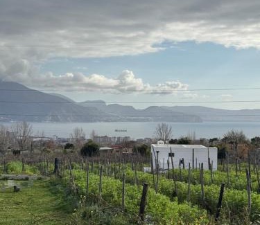 Trecase House | Vigna delle Rose