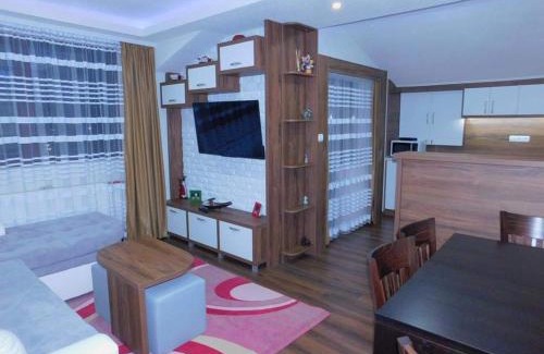 Shiligarnika Apartment | Vihren Boutique Apartment