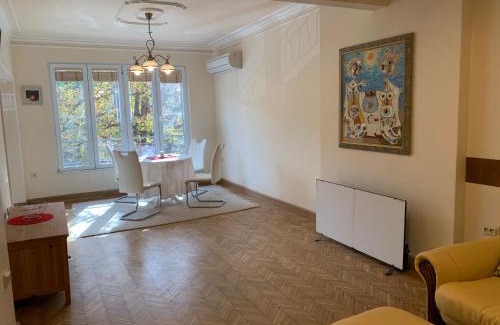 Sofia City Center Apartment | ViITOSHKA Apartment