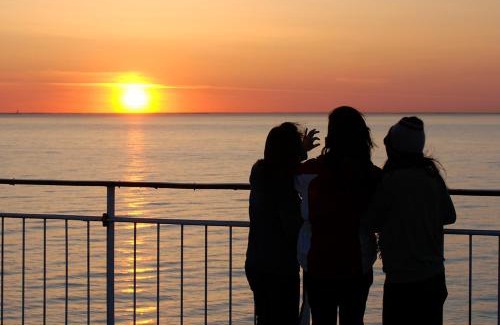 Turku Harbour Boat Rental | Viking Line ferry Viking Grace - One-way journey from Turku to Stockholm