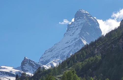 Zermatt City Centre Apartment | Viktoria B (J)