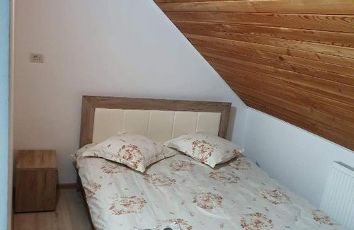 Gura Humorului House | Vila Aslam