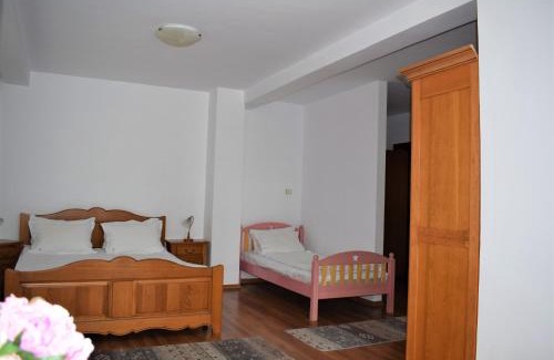 Cioplea House | Vila Brad