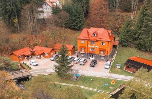 Lacu Rosu Bed & Breakfast | Vila Bradul