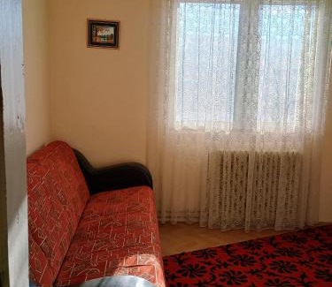 Voinesti Villa | Vila Codrin