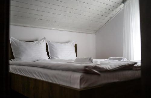 Cioplea House | Vila Edelweiss