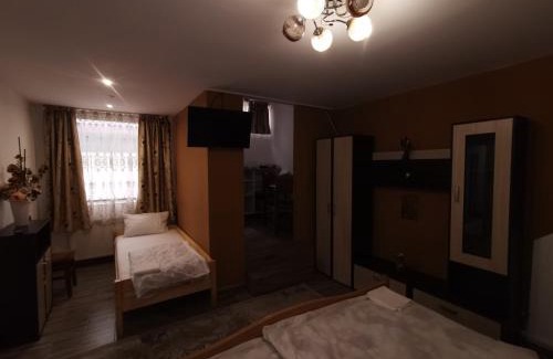 Piatra Neamt House | vila elly