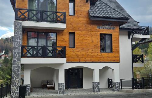 Sinaia Apartment | Vila Ferdinand Camelia Apartament