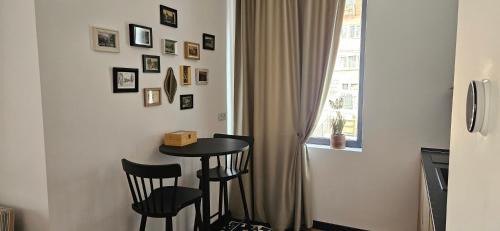 Sinaia Apartment | Vila Ferdinand Camelia Apartament