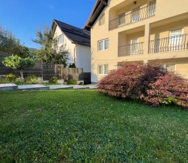 Moisei Villa | Vila Icom