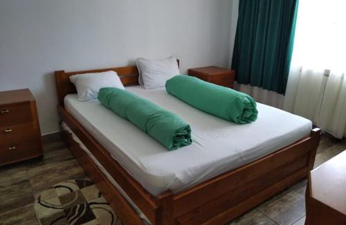 Budureasa Cabin | Vila Liliacul